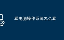 看电脑操作系统怎么看