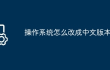 操作系统怎么改成中文版本的
