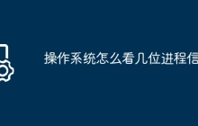 操作系统怎么看几位进程信息