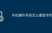 手机操作系统怎么看型号的