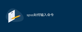 spss如何输入命令