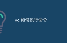 vc 如何执行命令