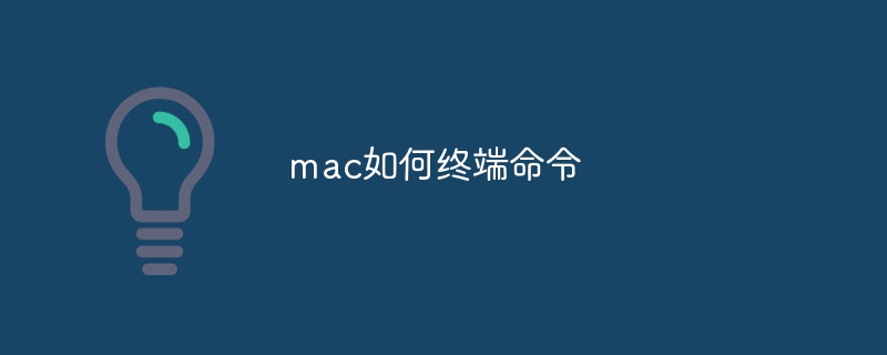 mac如何终端命令
