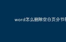 word怎么删除空白页分节符