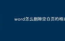 word怎么删除空白页的格式