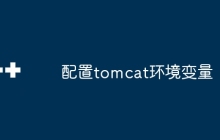 配置tomcat环境变量