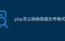 php怎么转换视频文件格式