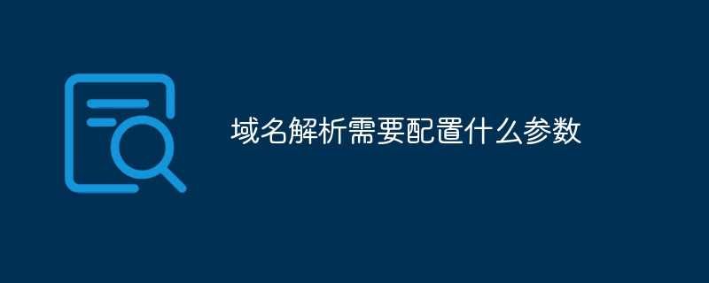 域名解析需要配置什么参数