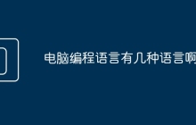 电脑编程语言有几种语言啊