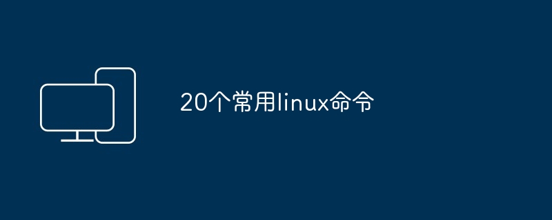 20个常用linux命令