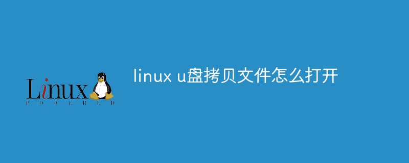 linux u盘拷贝文件怎么打开-小浪学习网