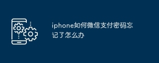 iphone如何微信支付密码忘记了怎么办
