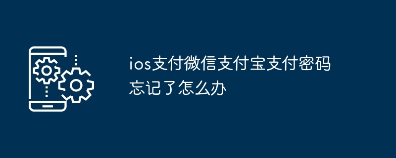 ios支付微信支付宝支付密码忘记了怎么办