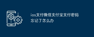 ios支付微信支付宝支付密码忘记了怎么办