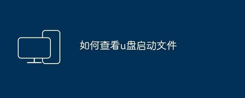 如何查看u盘启动文件