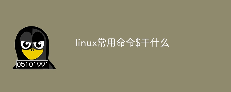 linux常用命令$干什么-小浪学习网