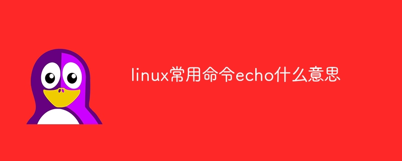 linux常用命令echo什么意思-小浪学习网