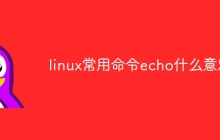 linux常用命令echo什么意思