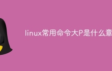 linux常用命令大P是什么意思
