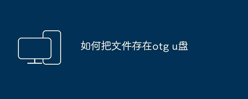 如何把文件存在otg u盘