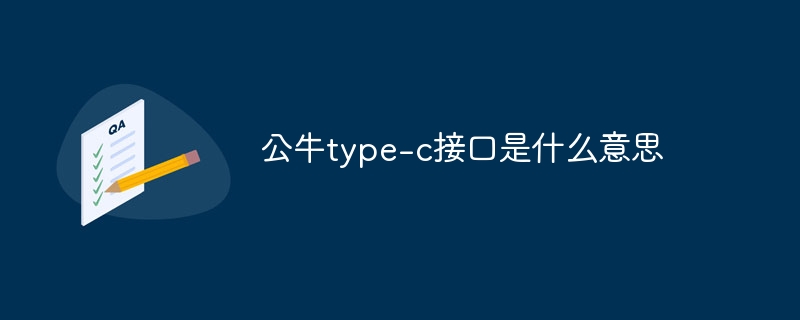 公牛type-c接口是什么意思