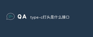 type-c打头是什么接口