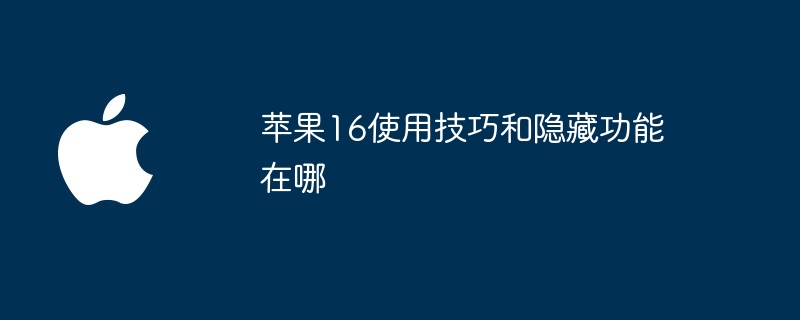 苹果16使用技巧和隐藏功能在哪（使用技巧.隐藏.苹果）