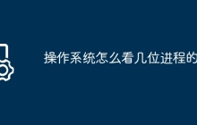 操作系统怎么看几位进程的
