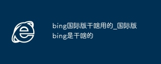 bing国际版干啥用的_国际版bing是干啥的