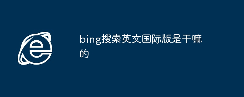 bing搜索英文国际版是干嘛的