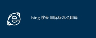 bing 搜索 国际版怎么翻译