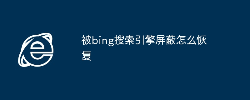 被bing搜索引擎屏蔽怎么恢复