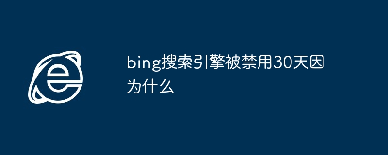 bing搜索引擎被禁用30天因为什么