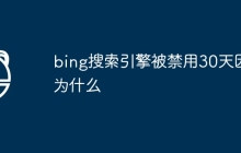 bing搜索引擎被禁用30天因为什么