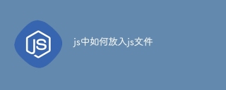 js中如何放入js文件