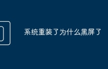 系統(tǒng)重裝了為什么黑屏了
