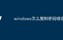 windows怎么复制密码错误
