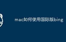 mac如何使用国际版bing