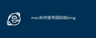mac如何使用国际版bing