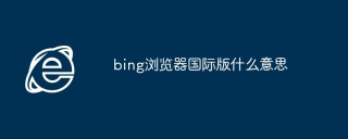 bing浏览器国际版什么意思