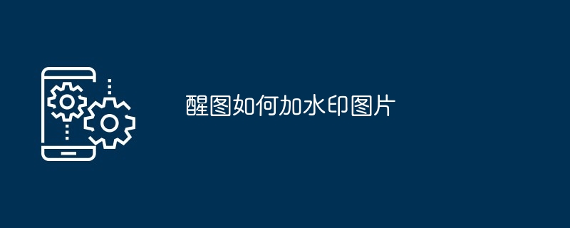 醒图如何加水印图片