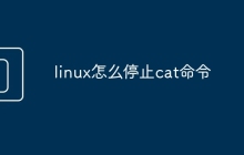 linux怎么停止cat命令