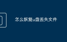 怎么恢復(fù)u盤丟失文件