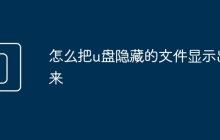 怎么把u盤隱藏的文件顯示出來