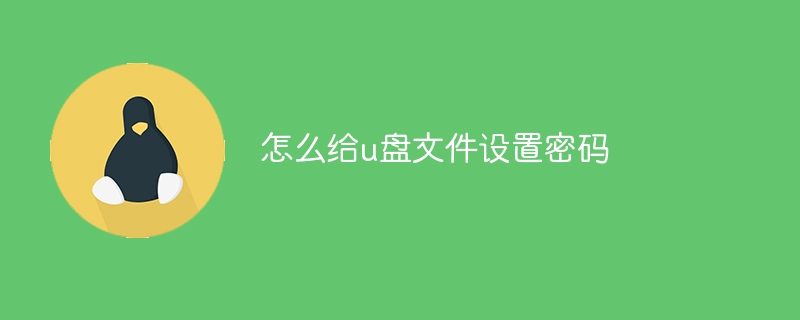 怎么给u盘文件设置密码 - 小浪云数据