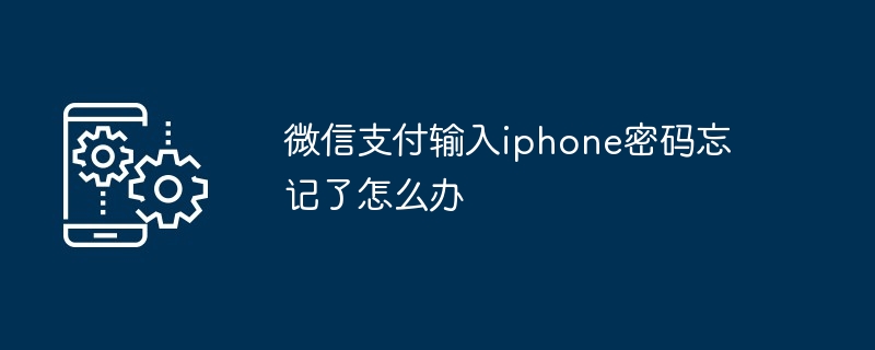 微信支付输入iphone密码忘记了怎么办