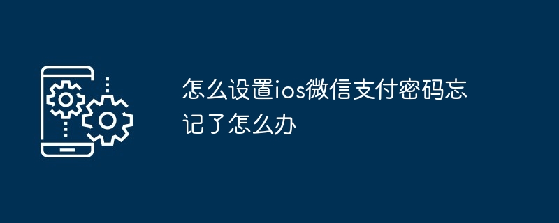 怎么设置ios微信支付密码忘记了怎么办