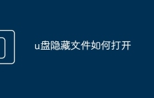 u盤隱藏文件如何打開