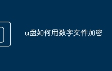 u盤如何用數(shù)字文件加密
