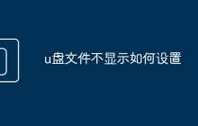 u盤文件不顯示如何設(shè)置